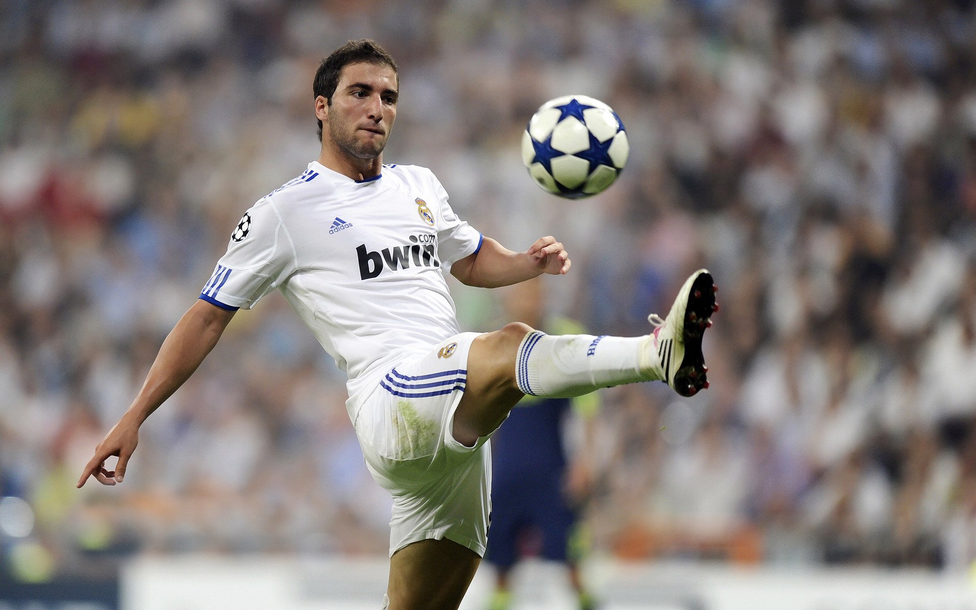 冰球联赛激战正酣，豪强争霸，新秀崛起，赛季悬念迭起